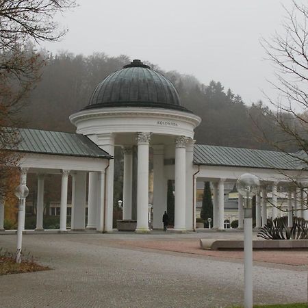 Apartman Karlovarská Mariánské Lázně Exterior foto
